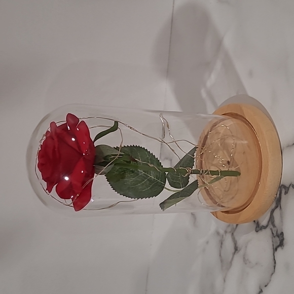 Beauty and the beast rose with lights - Picture 5 of 5